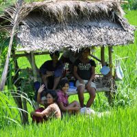 Bali Impressionen