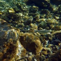 Kroatien Insel KRK