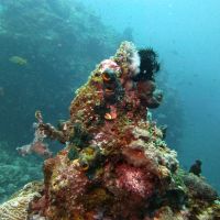 Gruppenreisen Alam Mimpi Bali