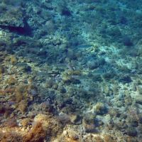 Kroatien Insel KRK