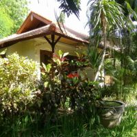 Bali Impressionen