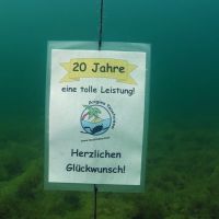 Jubiläumstauchen 20 Jahre Tauchoase