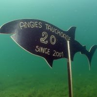 Jubiläumstauchen 20 Jahre Tauchoase
