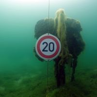 Jubiläumstauchen 20 Jahre Tauchoase